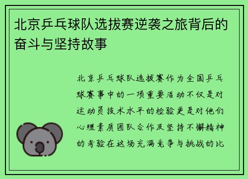 北京乒乓球队选拔赛逆袭之旅背后的奋斗与坚持故事