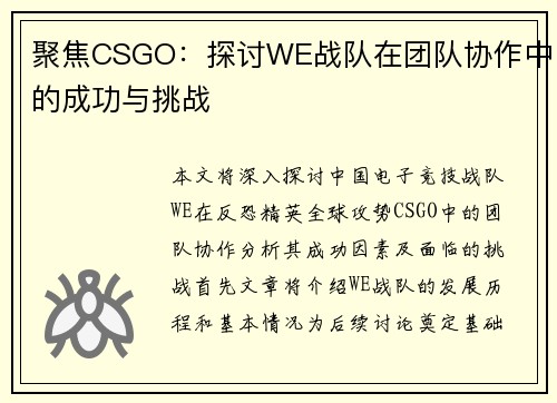 聚焦CSGO：探讨WE战队在团队协作中的成功与挑战